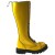 ste_30_zolte.JPG