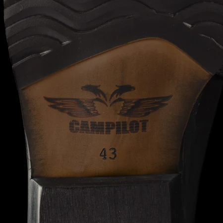 motor campilot 111 4 (1).jpg